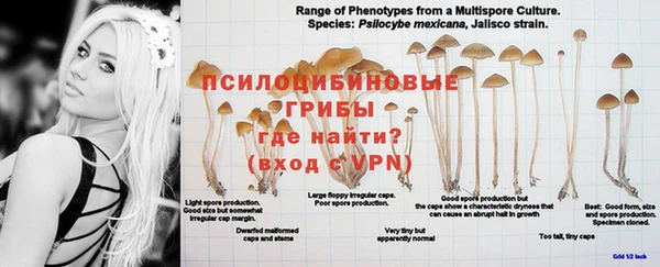 альфа пвп Вязники